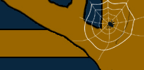 Spinne
